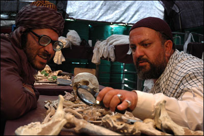 فيلم‌هايي كه داوران نديدند