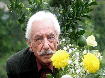 مشایخی در "شهر اسفنجی" بازی می‌کند