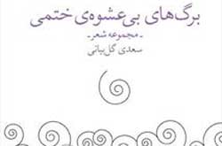 برگ‌های بی‌عشوه‌ ختمی در تهران سبز شد