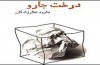 درخت جاروي غفارزادگان بررسی مي شود