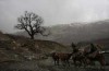 جایزه بهترین فیلم‌ اسلوونی به کارگردان ایرانی رسید