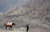 فیلم«مرز شکسته» جایزه جشنواره بین‌المللی «موسترمپ» را گرفت