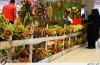 استقبال گردشگران از نمایشگاه بین المللی گل و گیاه